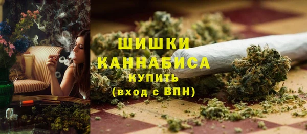 прущие крисы Аркадак