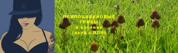 синтетический гашиш Арсеньев
