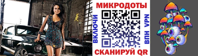 Псилоцибиновые грибы Psilocybe  Змеиногорск 
